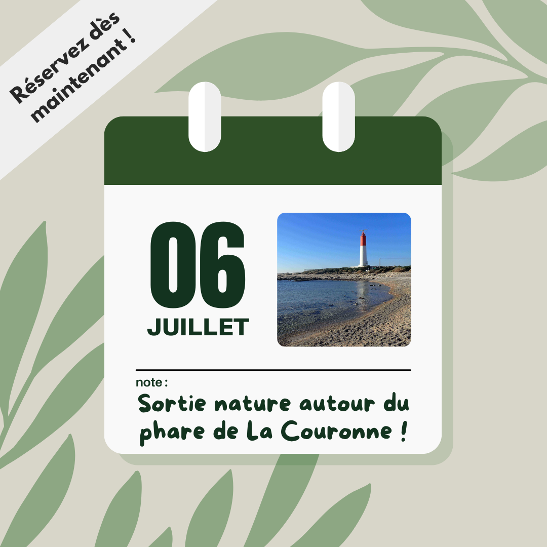 sortie nature juillet 2024