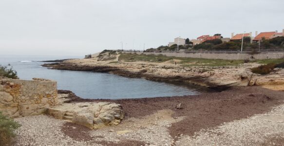 Une aire marine éducative à Sausset les Pins