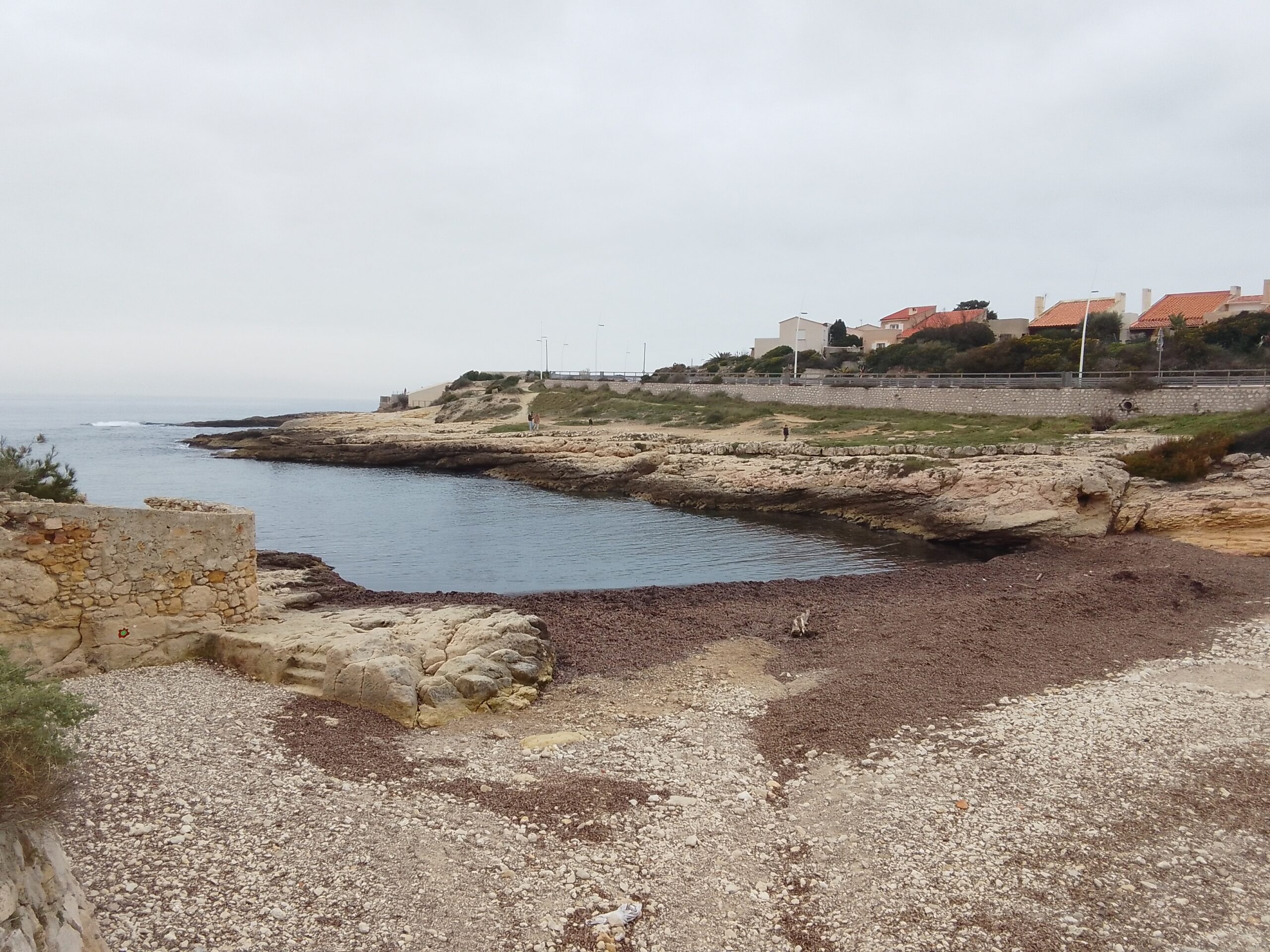 Une aire marine éducative à Sausset les Pins